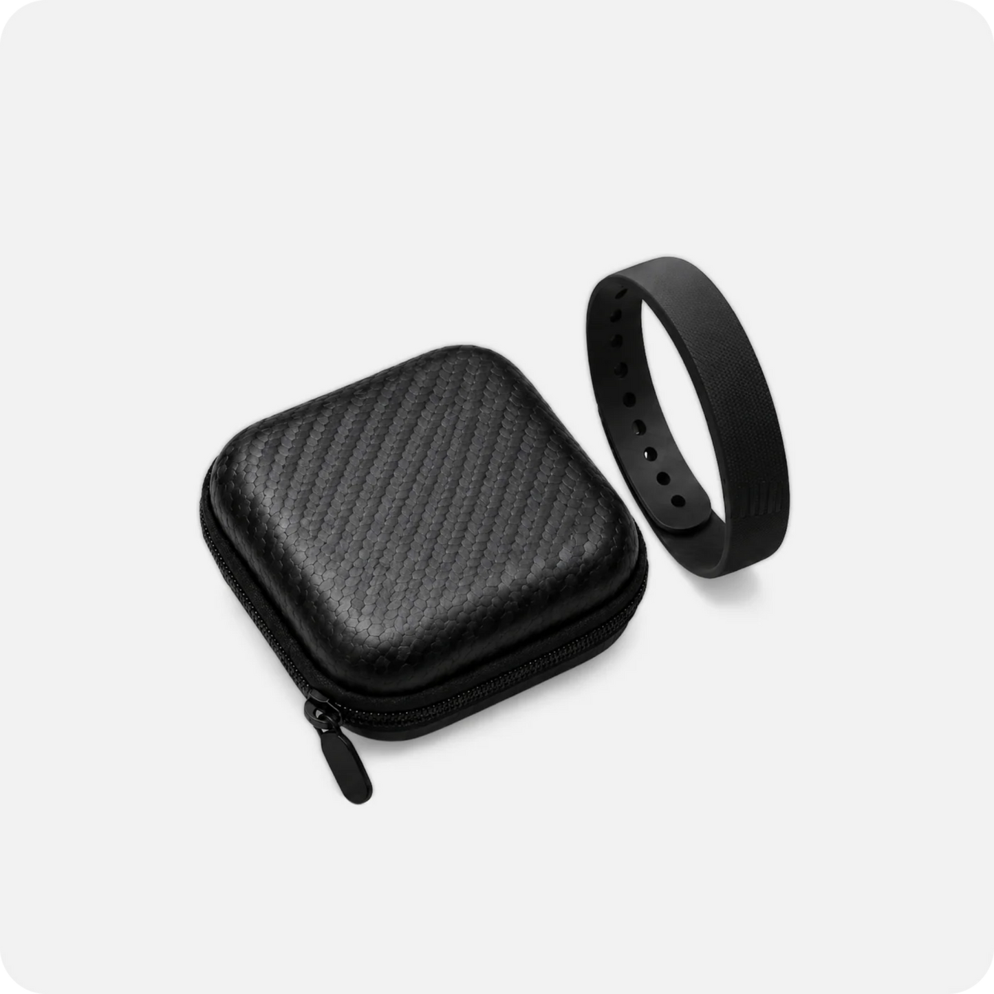 Sable Travel Case